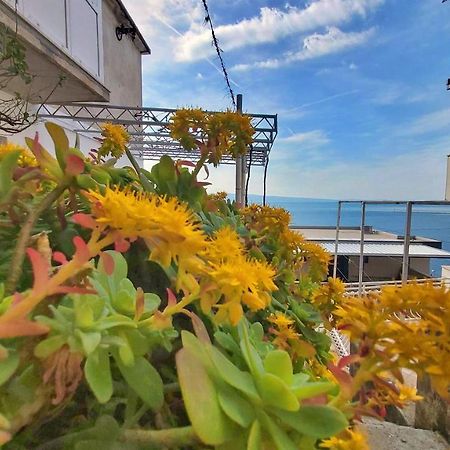Apartment Cedo Omiš Dış mekan fotoğraf