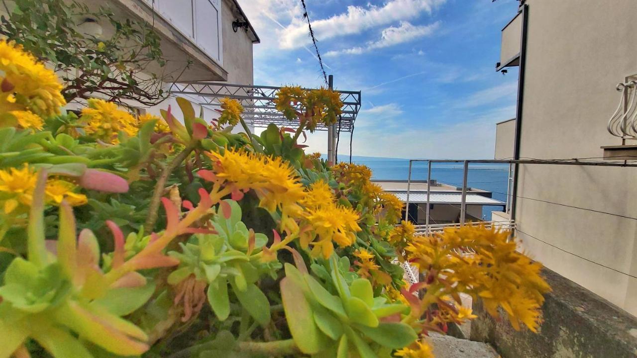 Apartment Cedo Omiš Dış mekan fotoğraf