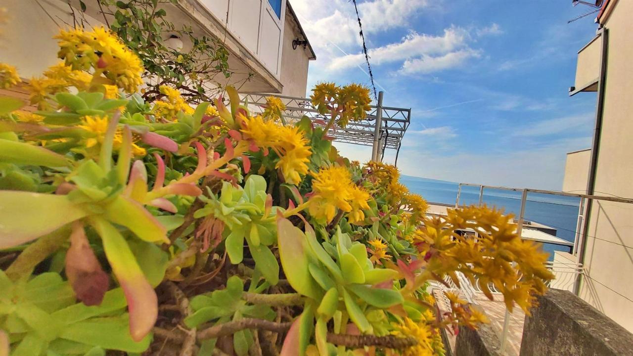 Apartment Cedo Omiš Dış mekan fotoğraf